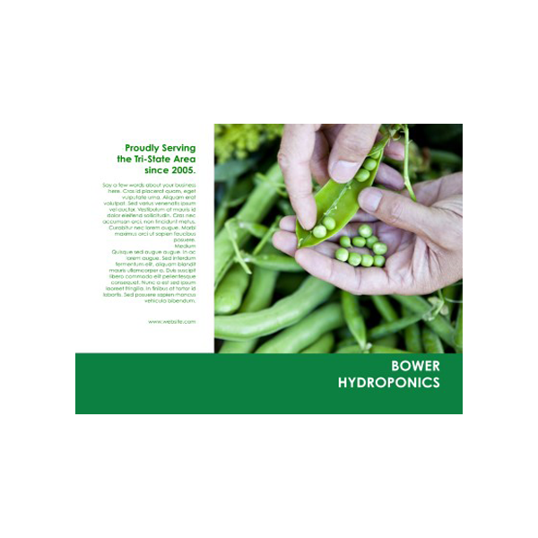 طرح لایه باز تراکت خوراکی کد ۲۱۱۴